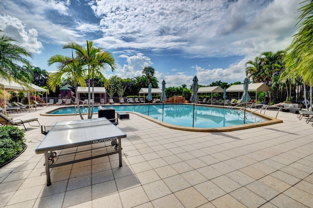 view of swimming pool with a patio area