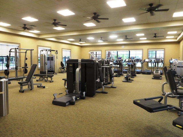 exercise room featuring carpet and a drop ceiling