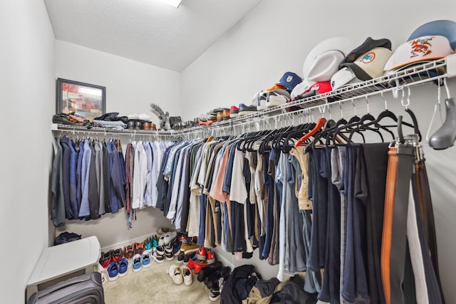 spacious closet featuring carpet flooring