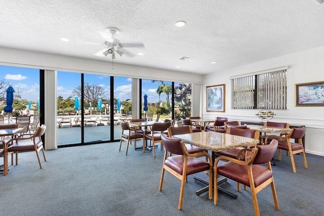 carpeted dining room with a textured ceiling and a wealth of natural light