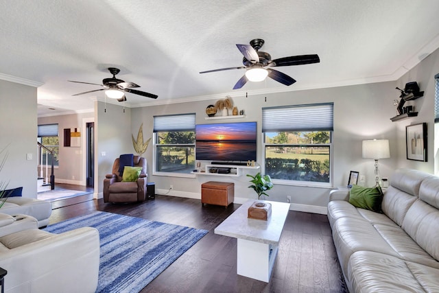 living room with ceiling fan, ornamental molding, dark hardwood / wood-style flooring, and a textured ceiling