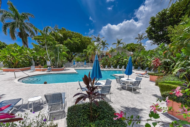 view of swimming pool with a patio area