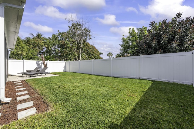 view of yard with a patio area