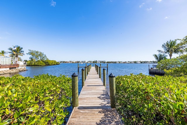 dock area featuring a water view