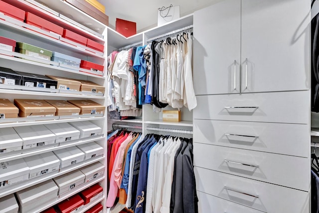 view of walk in closet