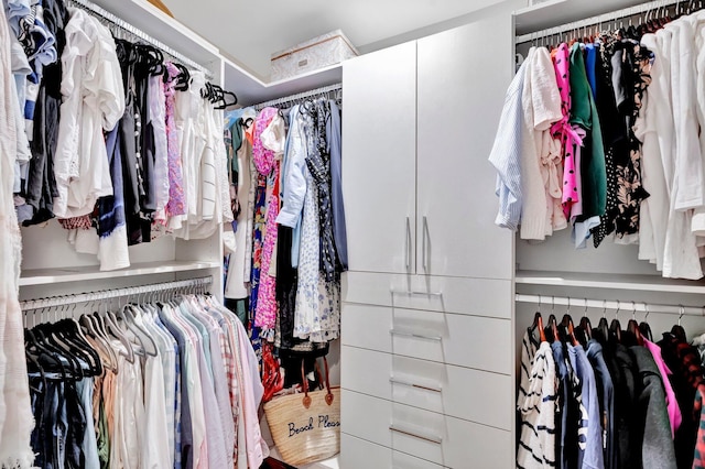 view of spacious closet