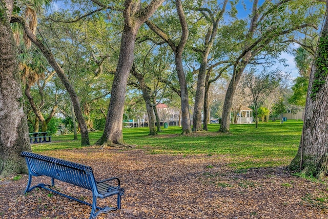 surrounding community featuring a lawn