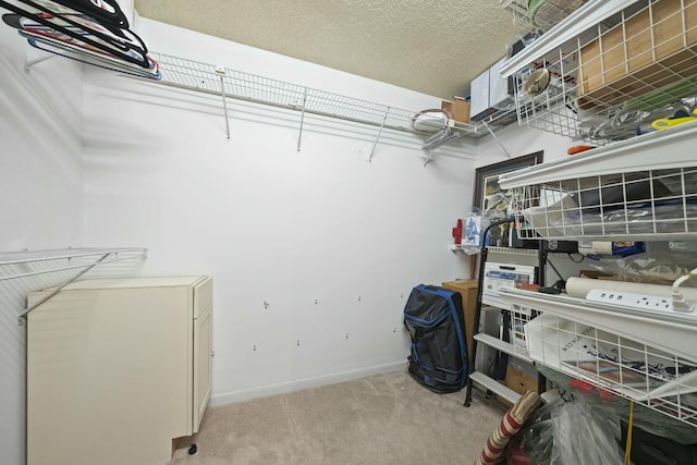 walk in closet featuring light carpet