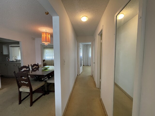 sitting room with light colored carpet and a textured ceiling