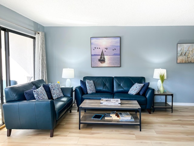 living room featuring light wood-type flooring