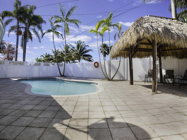 view of pool with a patio