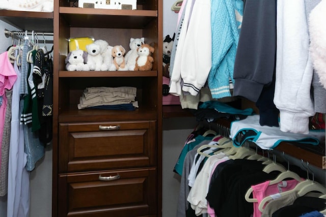 view of spacious closet