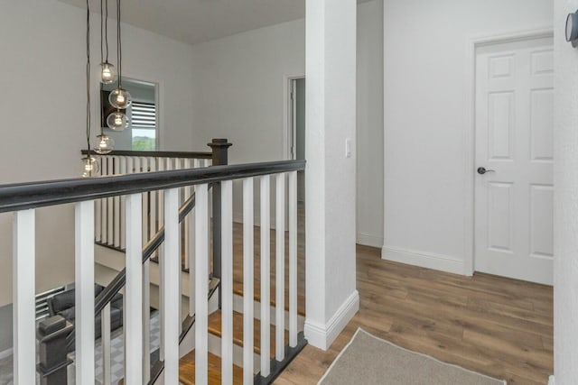 staircase featuring wood-type flooring