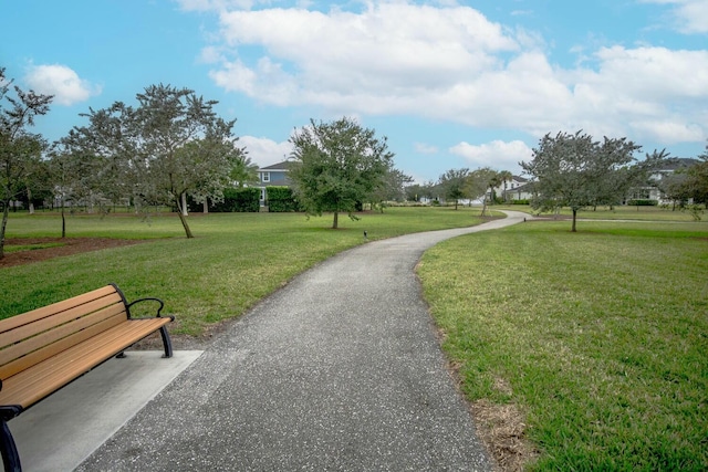 view of property's community with a yard