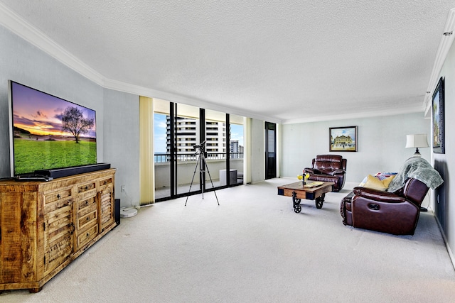 living room featuring ornamental molding, carpet flooring, and a textured ceiling