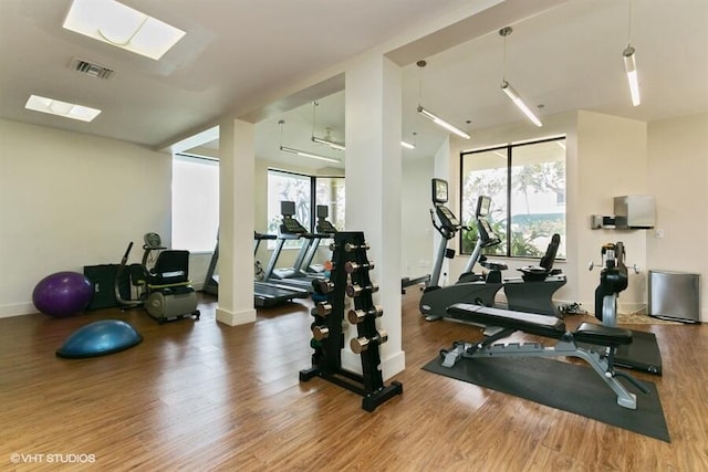 workout area featuring wood-type flooring and a skylight