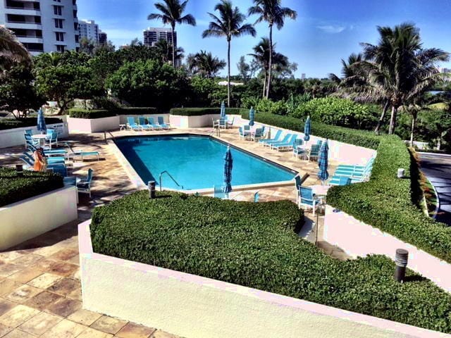 view of pool with a patio area