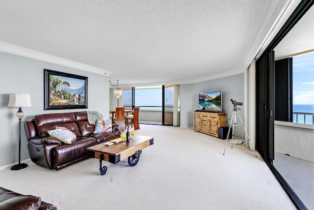 carpeted living room with ornamental molding and a textured ceiling