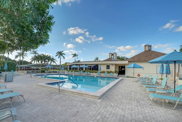 view of swimming pool featuring a patio