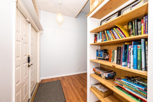 foyer entrance with hardwood / wood-style floors