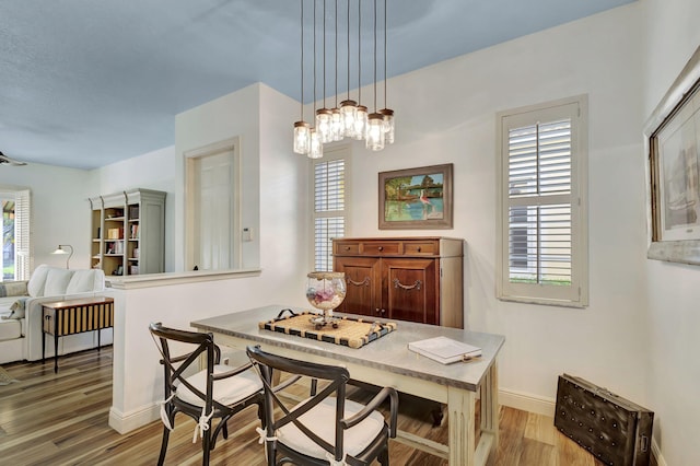 dining room featuring wood-type flooring