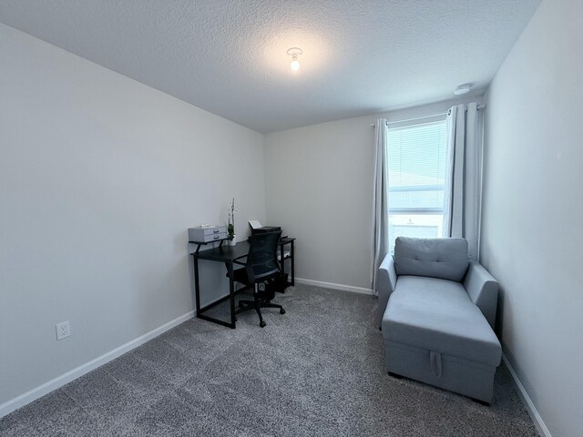 living area featuring carpet flooring