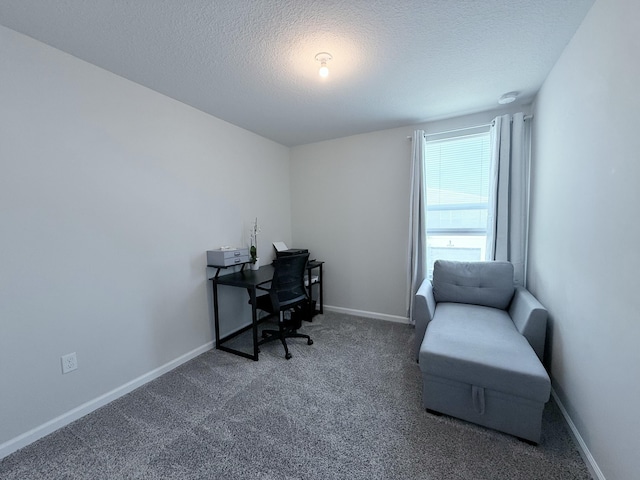 carpeted office with a textured ceiling