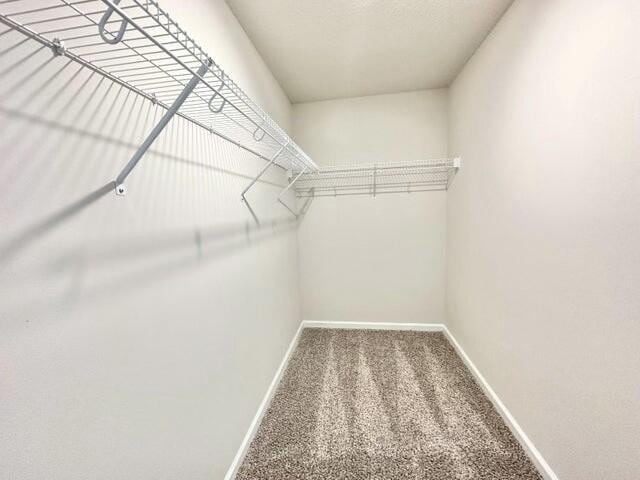 walk in closet with carpet floors