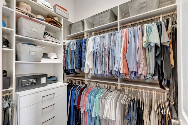 view of walk in closet