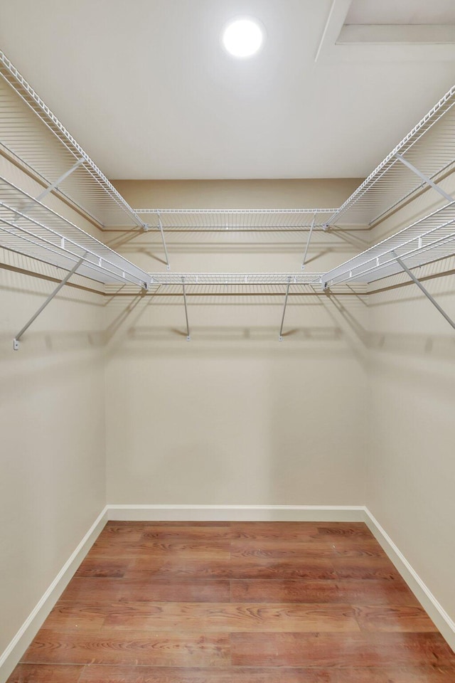 walk in closet with wood-type flooring