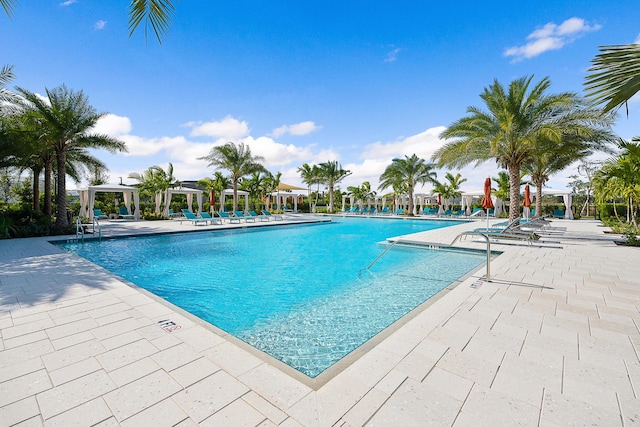 view of pool featuring a patio area