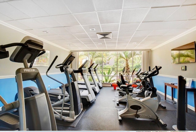 gym featuring crown molding, floor to ceiling windows, and a drop ceiling