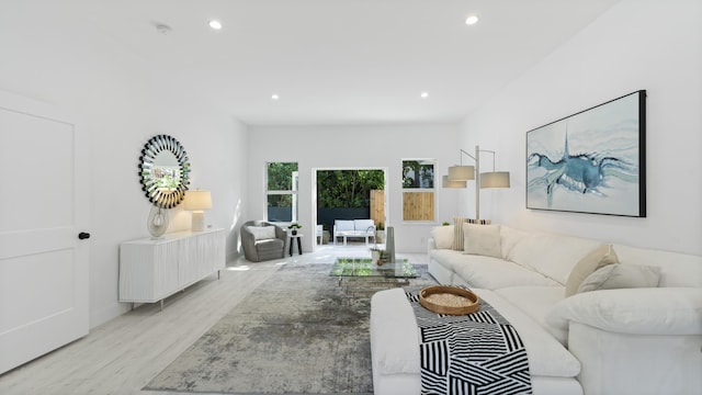 living room featuring light hardwood / wood-style flooring