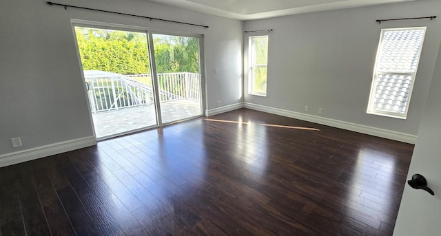 unfurnished room featuring dark wood-type flooring and a wealth of natural light