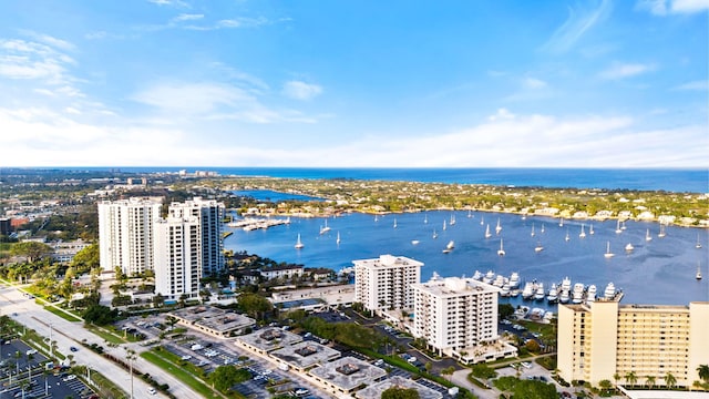 aerial view with a water view