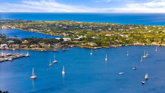 aerial view with a water view