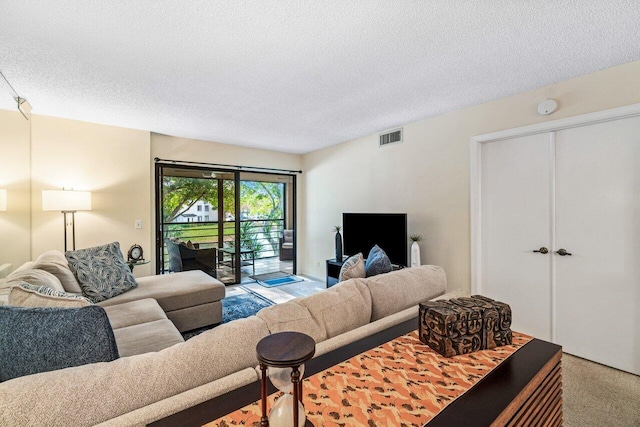 living room with a textured ceiling