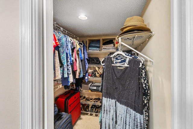 walk in closet with carpet floors