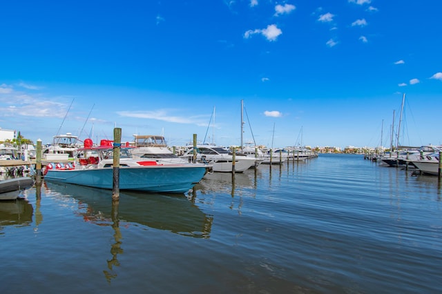 dock area with a water view