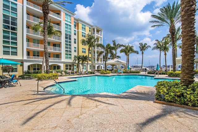 view of swimming pool with a patio