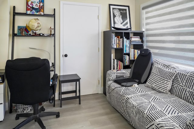 office featuring light wood-type flooring