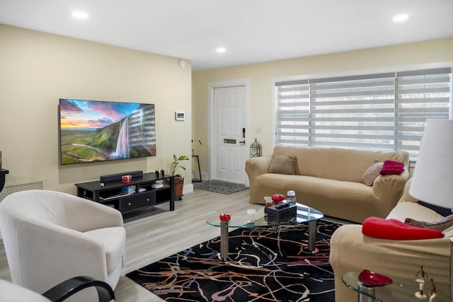 living room with light hardwood / wood-style flooring