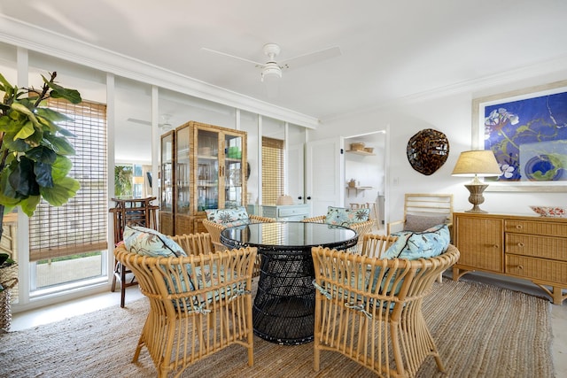 sitting room with ceiling fan and crown molding