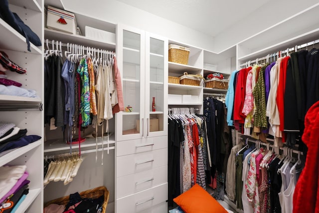 view of walk in closet