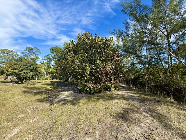 view of local wilderness