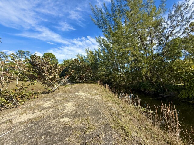 view of local wilderness