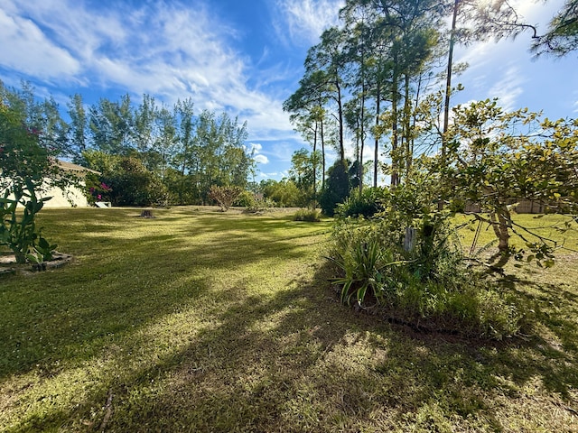 view of yard