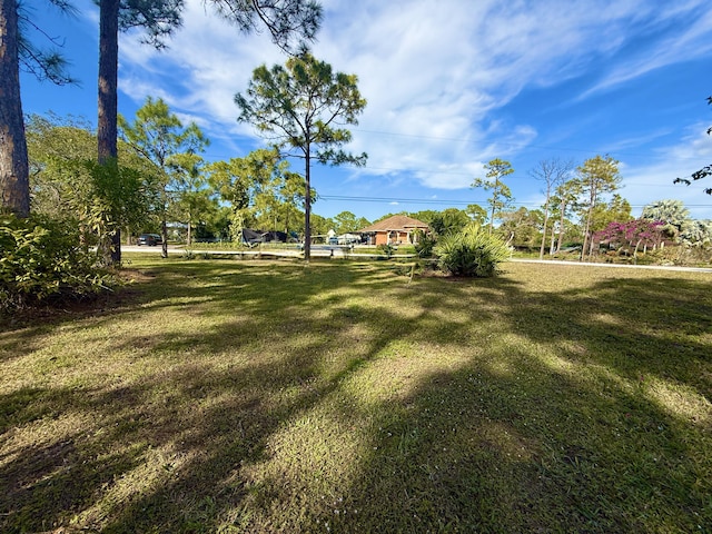 view of yard