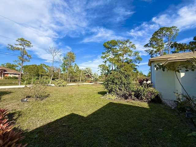 view of yard