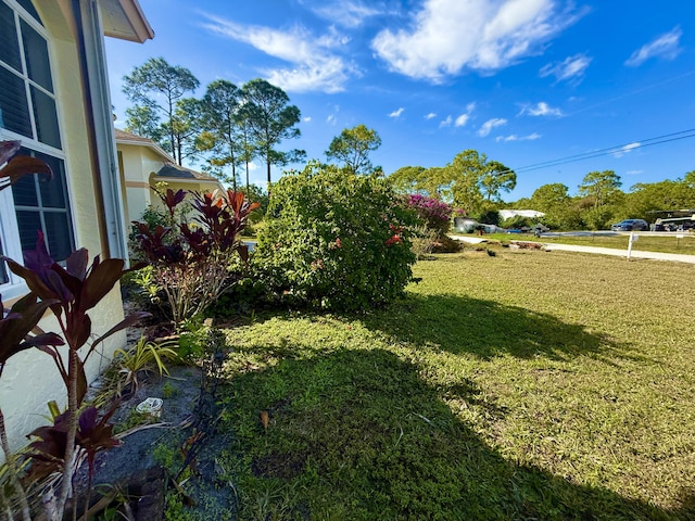 view of yard